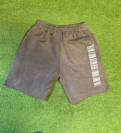 #We Hate Haters Club "X-Ray" Shorts (Sun Fade Vintage Grey)
