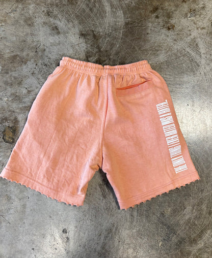 #We Hate Haters Club "X-Ray" Shorts (Sun Fade Vintage Flesh)